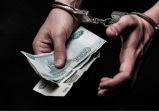 Жительница Новомосковска заплатит полмиллиона рублей за дачу взятки