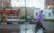 Погода в Тульской оласти 15 мая: сильный дождь с грозой и похолодание