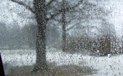 Погода в Тульской области 29 марта: снег с дождём, ветер и до +6 градусов