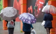 Погода в Туле 26 мая: дождливо, ветрено и до +20