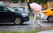 Погода в Туле 10 июля: дождь, гроза и до +31 градуса