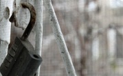 В Донском двое мужчин пытались украсть больничные ворота