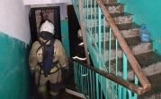 В Алексине при пожаре погибла женщина