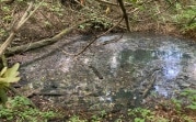 В Кимовске канализационные стоки затапливают Карачевский лес