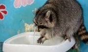 92,69% туляков обеспечены качественной питьевой водой