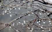 Погода в Тульской области 4 апреля: пасмурно, до +9, небольшой дождь