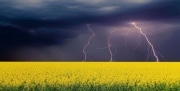 Очередное метеопредупреждение объявлено в Тульской области