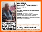 Лиза Алерт просит у туляков помощи в поиске пенсионера