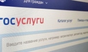 Правительство Тульской области прокомментировало сбои в работе портала Госуслуг