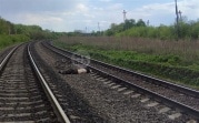 В Богородицком районе поезд сбил велосипедиста