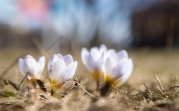 Синоптики дали прогноз на апрель