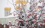 Погода в Туле 26 января: небольшой снег и до -8 градусов