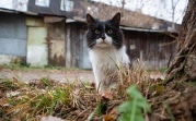 Погода в Тульской области 16 ноября: ветрено и немного снега