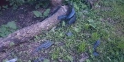 3-летний ребенок пострадал в ДТП в Тульской области
