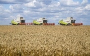 Тульская область собрала рекордный урожай зерна