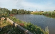 Стрелял в собаку и попал в ребенка: моральный вред мальчику оценили в 130 тысяч