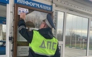Куда тулякам пожаловаться на пьяных водителей и пешеходов