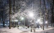 Метеопредупреждение: на Тульскую область надвигается сильный снегопад