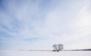 Какая погода ждет жителей региона 12 марта