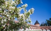 Синоптики рассказали, какой будет погода в апреле и мае