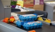 За неделю в Тульской области больше всего подешевели помидоры, огурцы и лук
