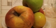 Ученые назвали продукты, которые чаще всего вызывают отравление