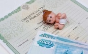Как тулякам получить федеральные выплаты на детей до 16 лет