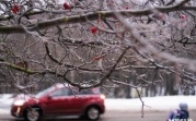 Синоптики предупредили о ледяных дождях в Центральной России