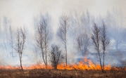В Тульской области частично сохраняется 5 класс пожароопасности