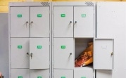 В Ефремове две женщины похитили вещи из камеры хранения в магазине
