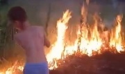 МЧС наградит детей из Ясногорска за самостоятельное тушение пожара в лесополосе