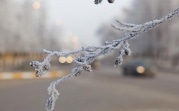 Погода в Тульской области 17 ноября: облачно, ветрено и морозно