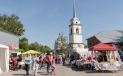 В Тульской области пройдет фестиваль Крапивы