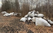 Ртутные лампы и отходы швейного производства обнаружены в лесу под Кимовском