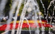 Погода в Тульской области 29 мая: облачно, сухо, до +32 градусов