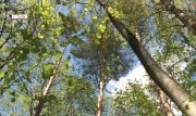 В Тульской области пройдет Всероссийская экологическая акция «Бумбатл»
