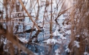Погода в Туле 19 ноября: мороз и лёгкий ветер