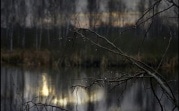 Погода в Туле 12 ноября: гололедица, дождь и ветер