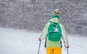 Календарная зима в Тульской области начнется с январских морозов