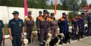 Кинологи МЧС Тульской области отметили день образования службы