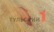 На тюбингах катались трое: подробности смерти ребенка под Плавском