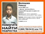 В Щекинском районе пропал 12-летний мальчик