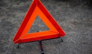 В Тульской области в 2 раза чаще стали происходить ДТП с дикими животными