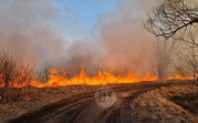 С начала пожароопасного сезона в Тульской области зарегистрировано более 1100 случаев возгорания сухой травы