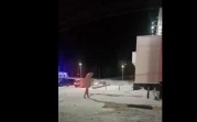Наркоман или любовник: в Новомосковске обсуждают гуляющего на морозе голого мужчину