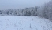 Сегодня в Тульской области будет снежно и ветрено