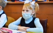 В Тульской области из-за гриппа частично закрыли пять школ
