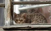 Погода в Тульской области 13 ноября: до +5 градусов и без осадков