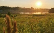 Погода в Тульской области 11 июля: без осадков, южный ветер и до +29