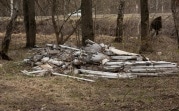 В лесу в Узловском районе обнаружена свалка ртутных ламп
